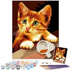 12 X TAHEAT DIY OIL PAINTING BY NUMBERS ANIMALS, CANVAS OIL PAINTING ORANGE KITTEN FOR ADULTS AND DRAWING BEGINNER PAINTING BY NUMBERS WITH BRUSHES WITHOUT FRAME 16 X 20 INCHES - TOTAL RRP £87: LOCAT
