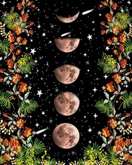 34 X DIY PAINT BY NUMBERS FOR ADULTS, MOONLIT GARDEN PAINTING BY NUMBERS FOR ADULTS, 16X20 INCH MOON PHASE SURROUNDED BY VINES AND FLOWERS ADULT PAINT BY NUMBER KIT UNIQUE GIFT FOR ADULTS FRAMELESS -