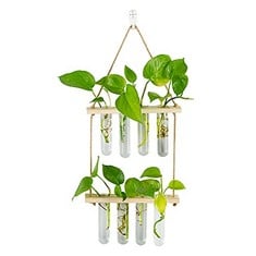 22 X HANGING PROPAGATION STATION FOR PLANTS WALL PLANTER INDOOR MODERN GLASS TEST TUBE VASES FOR FLOWERS WITH WOODEN RACK FOR VINTAGE ROOM DECOR HOME OFFICE ACCESSORIES, 8 TEST TUBES - TOTAL RRP £314