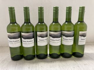 6 X TERRES FUMÉES SAUVIGNON CÔTES DE GASCOGNE 2022 WHITE WINE 75CL 12% VOL (PLEASE NOTE: 18+YEARS ONLY. ID MAY BE REQUIRED): LOCATION - BR9