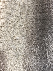 APPROX 3.5 X 5M ROLLED CARPET IN IVORY PEARL (COLLECTION ONLY)