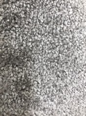 APPROX 3.15 X 5M ROLLED CARPET IN LIGHT GREY (COLLECTION ONLY)
