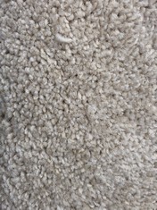 APPROX 3.19 X 5M ROLLED CARPET IN IVORY PEARL (COLLECTION ONLY)