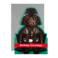QTY OF ITEMS TO INLCUDE BOX OF ASSORTED CELEBRATION ITEMS TO INCLUDE HALLMARK BIRTHDAY CARD - FUNNY DISNEY STAR WARS DESIGN, 27PCS FIFA WORLD CUP PARTY PACK FOR ALL TEAM SUPPORT EVENT DECORATION FLAG