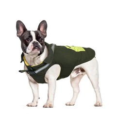 38X BUDDY PUPPY DOGS COATS RRP £465: LOCATION - A