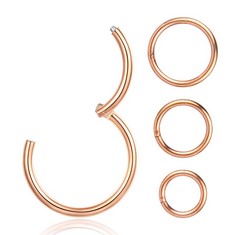 70 X WHATOOK 16G HOOP EARRINGS ROSE GOLD,CLICKER SEGMENT SEAMLESS HOOP HELIX CARTILAGE ROOK SNUG DAITH CONCH TRAGUS AND ANTI-TRAGUS EARRINGS,6MM 8MM 10MM 12MM 4 PCS PIERCING JEWELRY FOR MEN WOMEN - T