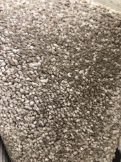 FREEDOM MORAL CARPET APPROX WIDTH 5M - COLLECTION ONLY - LOCATION SR21