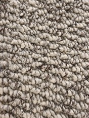 APPROX 5 X 3.45M ROLLED CARPET IN BISCOTTI (COLLECTION ONLY)