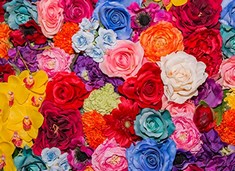 QTY OF ASSORTED ITEMS TO INCLUDE JIGSAW PUZZLE FOR ADULTS 1000 PIECE COLORFUL ROSES PUZZLES 20 X 28 INCHES: LOCATION - D RACK