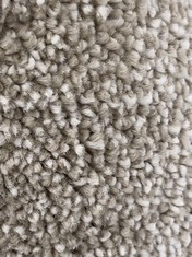 APPROX 2.05 X 4M ROLLED CARPET IN TRUSTING BEIGE (COLLECTION ONLY) (KERBSIDE PALLET DELIVERY)