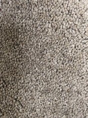 APPROX 2.42 X 5M ROLLED CARPET IN PEBBLE (COLLECTION ONLY) (KERBSIDE PALLET DELIVERY)