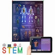 90 X POPAR HUMAN ANATOMY 4D SMART CHART & APP-LARGE - RRP £450 (DELIVERY ONLY)