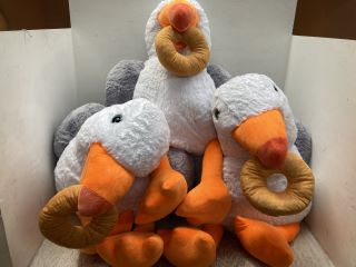 MULTI-PACK LARGE STUFFED BIRD TEDDIES TO INCLUDE DUCK: LOCATION - F11