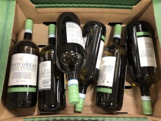 6 X MAGNUMS OF GIULIO PASOTTI PINOT GRIGIO (PLEASE NOTE: 18+YEARS ONLY. STRICTLY NO COURIER REQUESTS. COLLECTIONS FROM BA SALEROOM FROM MONDAY 3RD - FRIDAY 7TH JUNE 2024 ONLY)