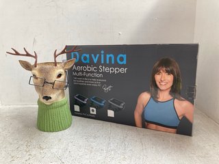 GARDEN REFLECTIONS NOVELTY PLANTER TO ALSO INCLUDE DAVINA MCCALL AEROBIC STEPPER: LOCATION - A12