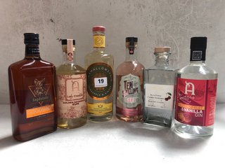 6 X ASSORTED ALCOHOLIC SPIRITS TO INCLUDE JIN MALLOWS PINEAPPLE & GINGER INFUSED GIN 70CL 40% VOL TO INCLUDE TEN SHILLING PINK GRAPEFRUIT INFUSED GIN 70CL 40% VOL. (WE OPERATE A CHALLENGE 25 POLICY.