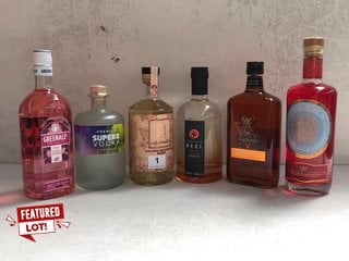6 X ASSORTED ALCOHOLIC SPIRITS TO INCLUDE SHETLAND REEL WILDFIRE SPICED GIN 700ML 40% VOL. TO INCLUDE JAGDSTOLZ GOODSHOT HERBAL LIQUEUR 70CL 38% VOL. (WE OPERATE A CHALLENGE 25 POLICY. 18+ ID MAY BE
