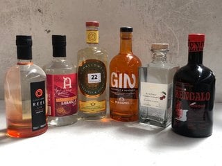 6 X ASSORTED ALCOHOLIC SPIRITS TO INCLUDE JIN MALLOWS PINEAPPLE & GINGER INFUSED GIN 70CL 40% VOL TO INCLUDE RON BENGALO GIN FROM TRINIDAD 700ML 40% VOL. (WE OPERATE A CHALLENGE 25 POLICY. 18+ ID MAY