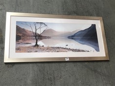 BUTTERMERE TREE - JAMES BELL FRAMED PRINT (COLLECTION OR OPTIONAL DELIVERY)