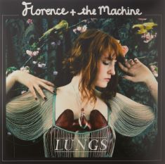 QTY OF ITEMS TO INLCUDE 10 X ASSORTED VINYLS TO INCLUDE LUNGS FLORENCE + THE MACHINE [VINYL LP] [VINYL], THE FEELING OF FALLING UPWARDS (LIVE FROM THE ROYAL ALBERT HALL) [VINYL]. (DELIVERY ONLY)