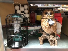 QUANTITY OF ITEMS TO INCLUDE VIVID ARTS PLASTIC REAL LIFE TAWNY OWL (SIZE B): LOCATION - G RACK