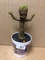 QUANTITY OF ITEMS TO INCLUDE DANCING GROOT: LOCATION - A RACK