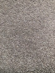 TUDOR TWIST CLASSIC CARPET APPROX WIDTH 5M - COLLECTION ONLY - LOCATION SR21