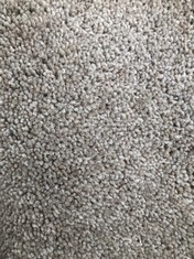 TUDOR TWIST CLASSIC CARPET APPROX WIDTH 4M - COLLECTION ONLY - LOCATION SR21