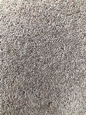 TUDAR TWIST CLASSIC CARPET APPROX WIDTH 5M - COLLECTION ONLY - LOCATION SR21
