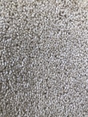 FREEDOM XTRA DOVE CARPET APPROX WIDTH 5M - COLLECTION ONLY - LOCATION SR21