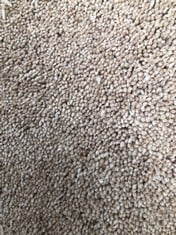 TUDOR TWIST REGAL CARPET APPROX WIDTH 4M - COLLECTION ONLY - LOCATION SR21