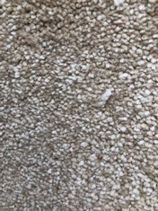 CLASSIC CHARM CARPET APPROX WIDTH 5M - COLLECTION ONLY - LOCATION SR 21