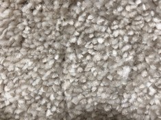 APPROX 4 X 4.3M ROLLED CARPET IN M. TOUCH (COLLECTION ONLY - RAMS REQUIRED)