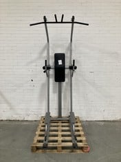 POWER TOWER PULL UP / DIP STATION IN SILVER (COLLECTION ONLY)