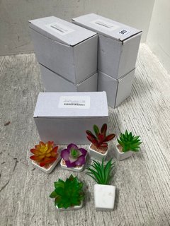 5 X MULTI-PACK FAUX HOME PLANT MAGNETS: LOCATION - J16