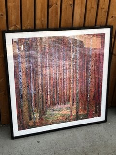 (COLLECTION ONLY) JOHN LEWIS AND PARTNERS GUSTAV KLIMT - TANNENWALD I FRAMED CANVAS PRINT: LOCATION - D6