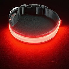 25 X PETISAY ULTIMATE LED DOG COLLAR - USB RECHARGEABLE WITH WATER RESISTANT - REFLECTIVE LIGHT UP DOG COLLAR FLASHING LIGHT - ADDING SAFETY TO NIGHT-TIME WALKS(RED, S) - TOTAL RRP £228: LOCATION - B