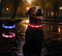 17 X GUESS WHERE DOG COLLAR LED LIGHT, LIGHTS UP AND GLOWS IN THE DARK FOR VISIBILITY AND SAFETY AT NIGHT, ADJUSTABLE LENGTH, 3 LIGHTING MODE, WATERPROOF, CLIP ON, USB RECHARGEABLE (MEDIUM, BLUE) - T