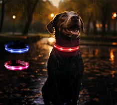 25 X GUESS WHERE DOG COLLAR LED LIGHT, LIGHTS UP AND GLOWS IN THE DARK FOR VISIBILITY AND SAFETY AT NIGHT, ADJUSTABLE LENGTH, 3 LIGHTING, WATER RESISTANT, CLIP ON, USB RECHARGEABLE (MEDIUM, RED) - TO