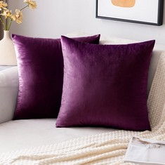 QUANTITY OF ITEMS TO INCLUDE EMEMA VELVET CUSHION COVERS AUBERGINE DECORATIVE THROW PILLOW CASE 12 X 20 INCH 50 X 50 CM PILLOW COVERS FOR LIVINGROOM SOFA BEDROOM PACK OF 2: LOCATION - G