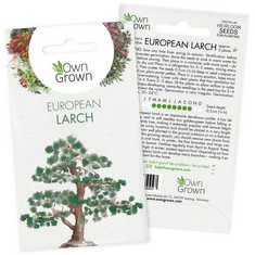 267 X GROW YOUR OWN BONSAI TREES: PREMIUM BONSAI SEEDS FOR EUROPEAN LARCH – 5 EUROPEAN LARCH BONSAI SEEDS – LARIX DECIDUA BONSAI TREE SEEDS – CONIFER SEEDS TO GROW YOUR OWN PLANT INDOOR, SEED BY OWNG