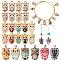 QUANTITY OF ASSORTED ITEMS TO INCLUDE COGCHARGER 30 PCS OWL ENAMEL CHARMS PENDANTS COLORFUL OWL CHARMS PENDANT FOR JEWELRY NECKLACE EARRING KEYCHAIN MAKING CRAFTS- TOTAL RRP £250: LOCATION - A RACK