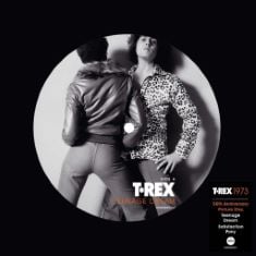 QTY OF ITEMS TO INLCUDE 4 X ASSORTED VINYLS TO INCLUDE T. REX: TEENAGE DREAM (50TH ANNIVERSARY) 7" PICTURE DISC, SUPERMODEL (YOU BETTER WORK)/A SHADE SHADY (NOW PRANCE) [7" VINYL].