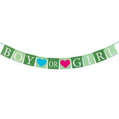 QUANTITY OF ASSORTED ITEMS TO INCLUDE  SUNBEAUTY SAGE GREEN BOY OR GIRL BANNER BABY SHOWER DECORATIONS GENDER REVEAL BUNTING FLAG BABY GENDER SHOW PARTY FAVORS PREGNANCY ANNOUNCEMENT - TOTAL RRP £166