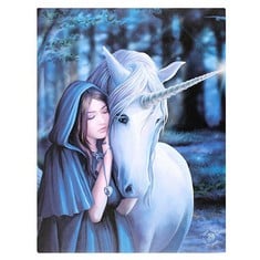 QUANTITY OF ASSORTED ITEMS TO INCLUDE SPIRIT OF EQUINOX SOLACE - FANTASTIC WINTER UNICORN DESIGN BY ARTIST ANNE STOKES - FANTASY MAGICAL CANVAS PICTURE ON FRAME WALL PLAQUE/WALL ART: LOCATION - RACK