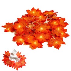 QUANTITY OF ASSORTED ITEMS TO INCLUDE DOJO KEY AUTUMN MAPLE LEAVES STRING LIGHTS, FALL LIGHTED LEAF GARLAND 6.56FT 20LED AND MAPLE LEAVES FOR FALL THEME PARTY, THANKSGIVING DAY, HALLOWEEN, HOME,   ,