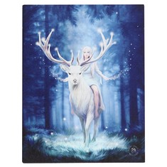 QUANTITY OF ASSORTED ITEMS TO INCLUDE SOMETHING DIFFERENT AS_15930 CANVAS PLAQUE | FANTASY FOREST BY ANNE STOKES | 1 PIECE | MULTICOLOURED | 19.4 CM X 25 CM X 1.4 CM, MULTICOLOR: LOCATION - RACK D