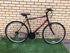 APOLLO CX10 ADULT MOUNTAIN BIKE:: LOCATION - FRONT FLOOR (COLLECTION OR OPTIONAL DELIVERY AVAILABLE)