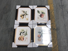 JOHN LEWIS 4PCS FRUIT WALL ART - RRP £155