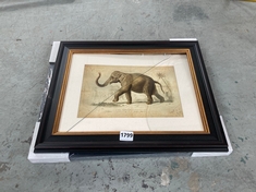 2 X ASSORTED JOHN LEWIS WALL ART TO INCLUDE ELEPHANT WALL ART